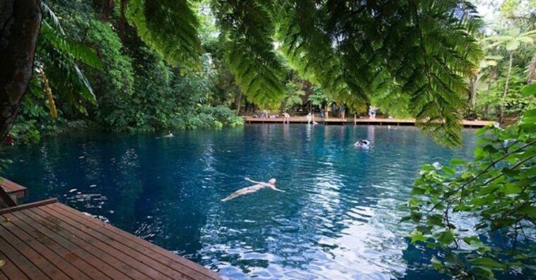 how to choose the best safest ayahuasca retreat