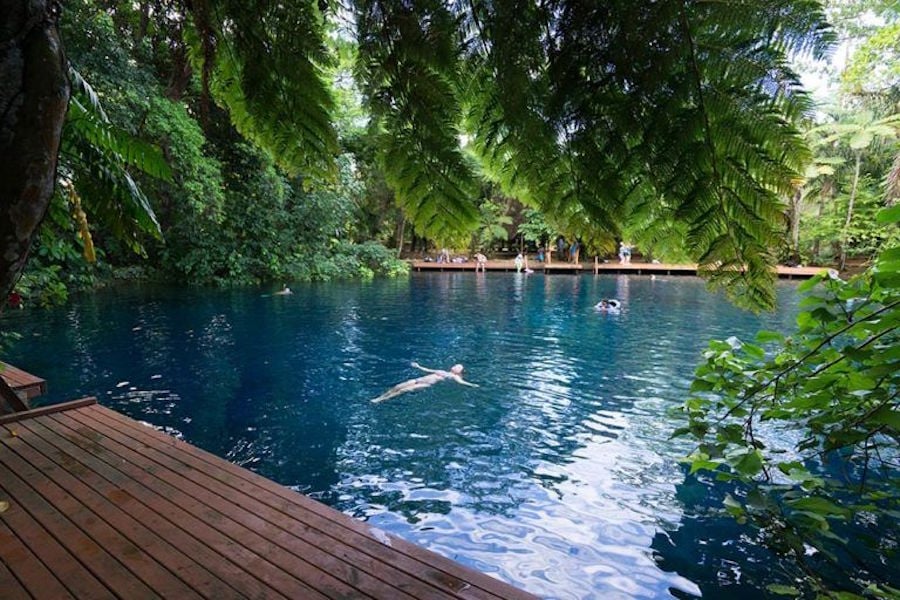 how to choose the best safest ayahuasca retreat
