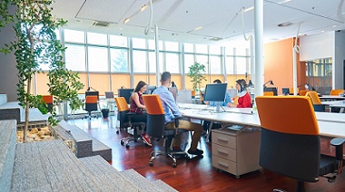 Top Trends in Office Space Design for 2025