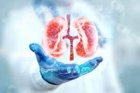 Stem Cell Treatment for Kidney Disease in India 1 images 2
