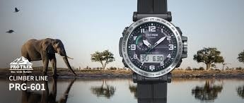 Casio Pakistan – Complete 2025 Guide to Watches