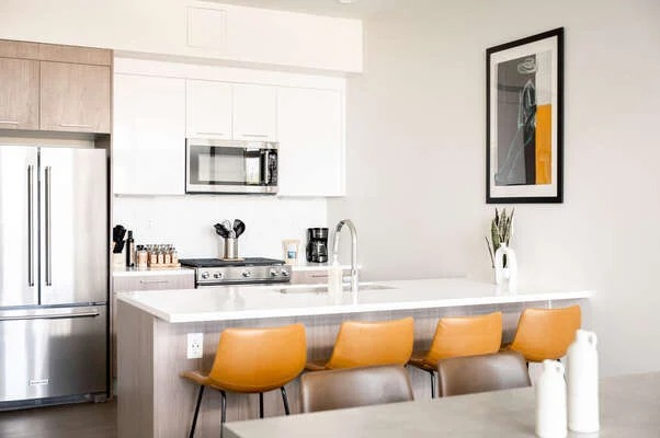 Explore Top Pet Friendly Hotels in Denver with Great Amenities 1 imgi 16 thumbnail 165069361