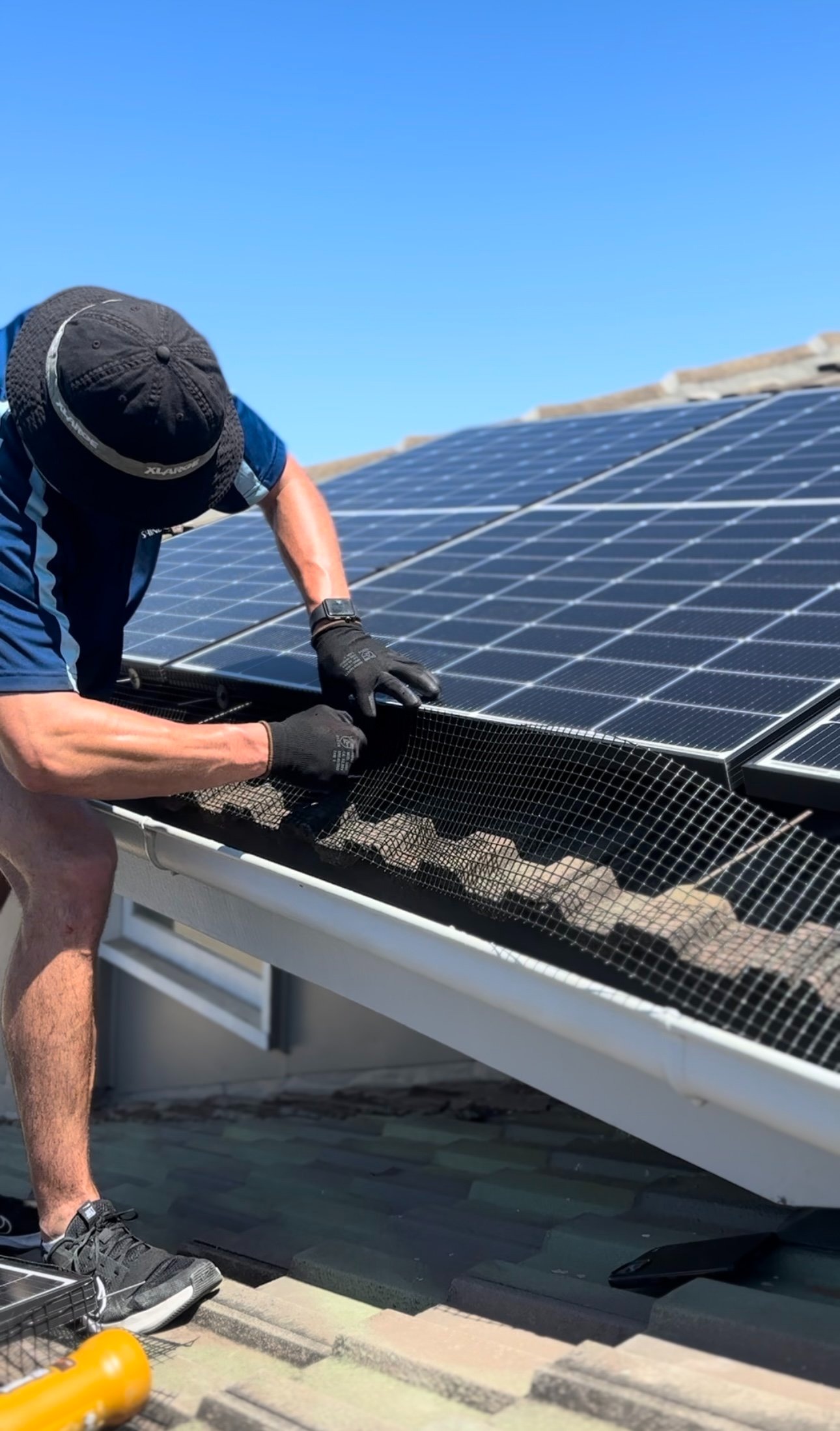 Professional Pigeon Proofing for Solar Panels to Prevent Damage and Blockage 1 imgi 2 IMG 4974