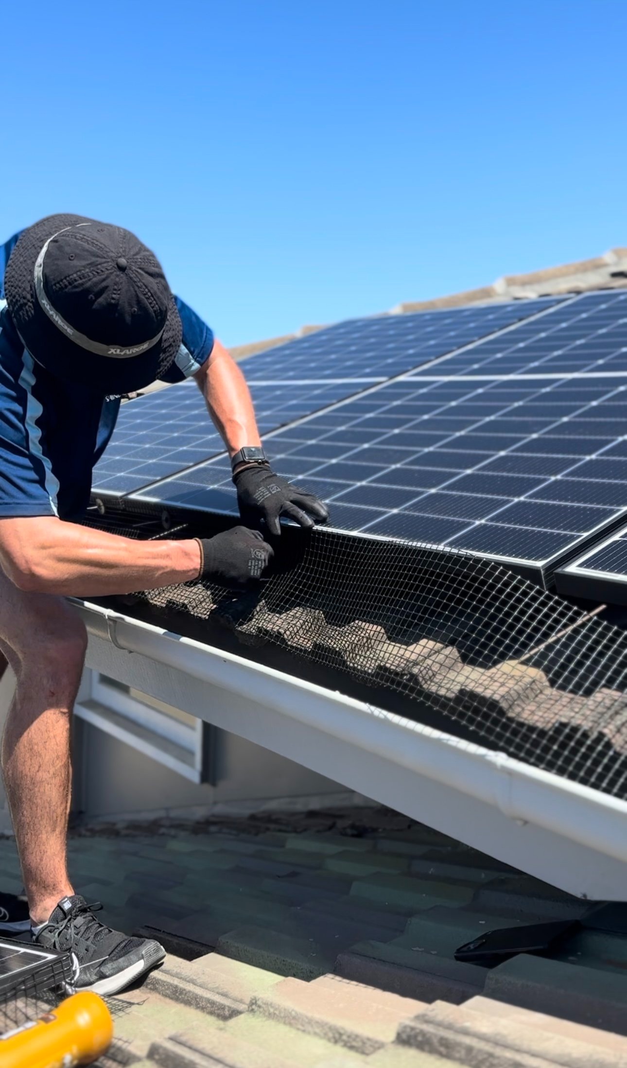 Affordable Bird Proofing for Solar Panels to Stop Pigeons and Other Birds Nesting Underneath 1 imgi 4 IMG 4974