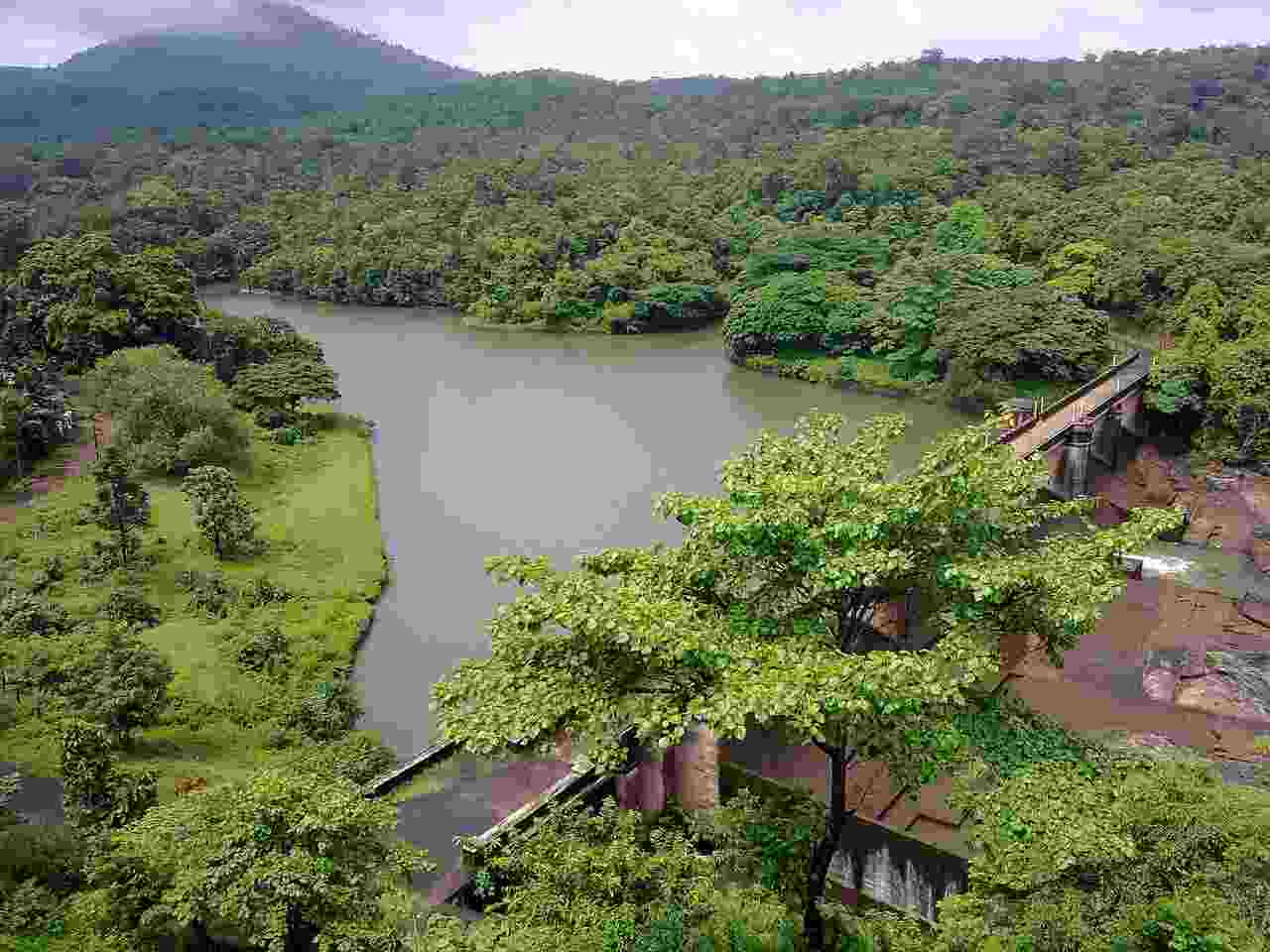 7 Days Yoga and Ayurveda Tour in Kerala – Book Now 1 7 days kerala backwater tour