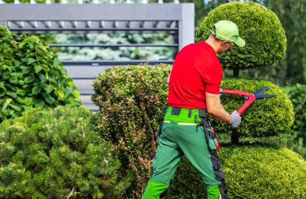 lawn care shirt
