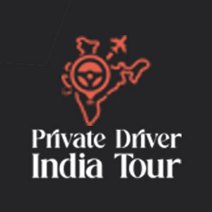 logo 15