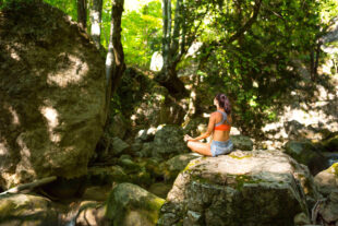 man sitting rock forest 1 1