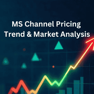 MS Channel Price Trend Analysis 2025