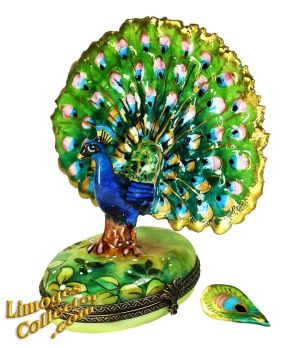 peacock 2543
