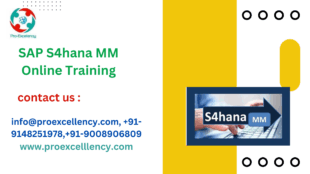 sap mm online training banner 4
