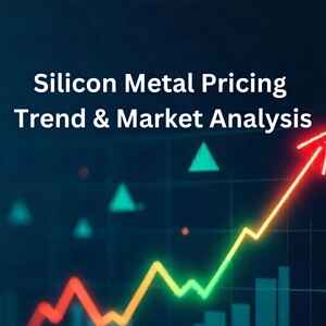 Silicon Metal Price Trend Analysis 2025