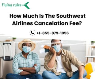 southwest cancelation fee