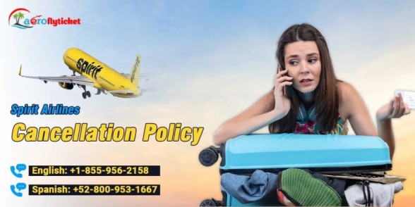 spirit airlines Cancellation Policy 1.jpg 1 1 1