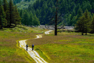 tourists riding bicycle meadow with beautiful landscape 1 1