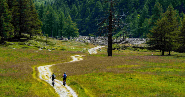 tourists riding bicycle meadow with beautiful landscape 1 1