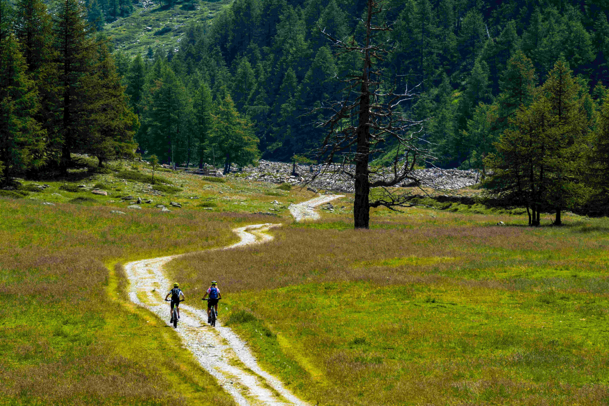 Ontdek de adembenemende Balkan Trail Route – een wandelavontuur voor echte natuurliefhebbers 1 tourists riding bicycle meadow with beautiful landscape 1 1 scaled