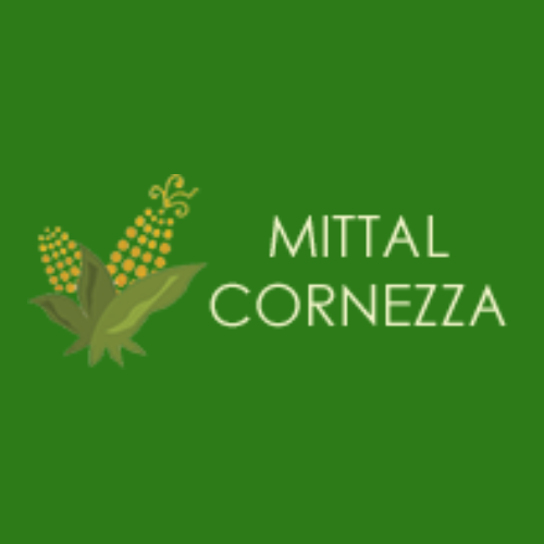 Corn Germ Manufacturer
