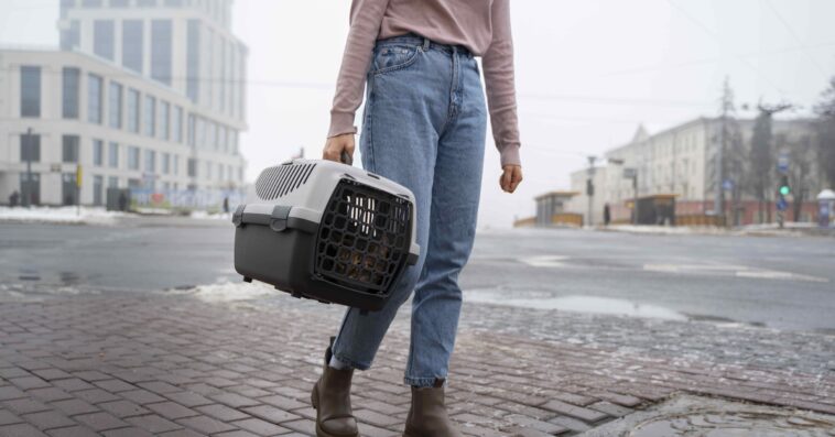 woman carrying her pet street 1 1