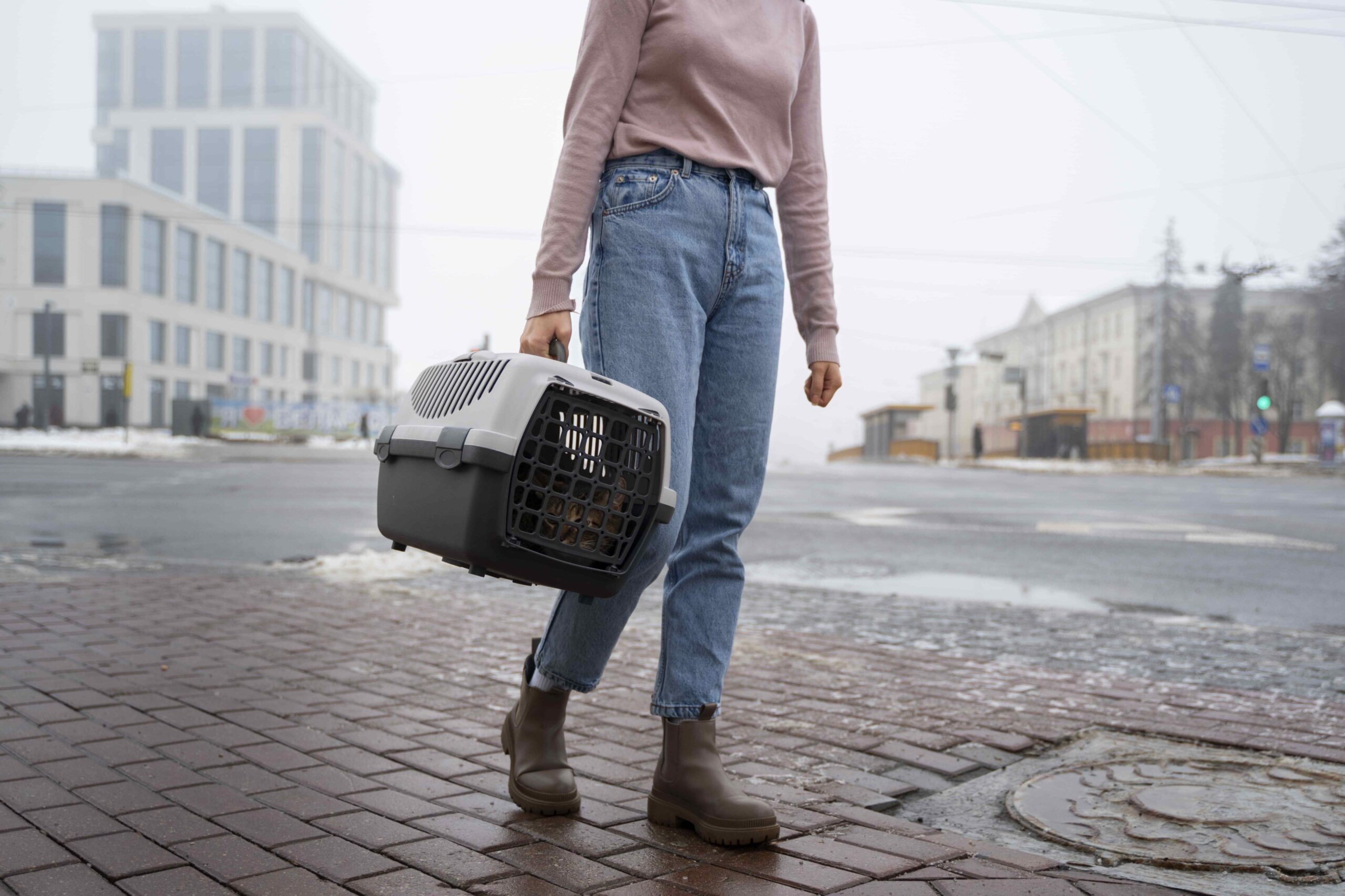 woman carrying her pet street 1 1 scaled