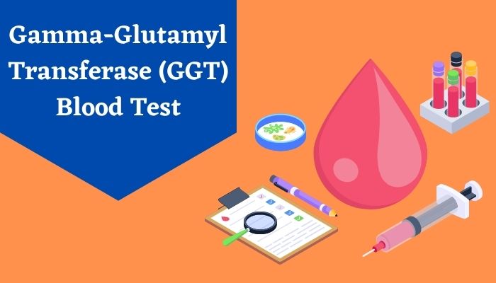 Understanding GGT Blood Test and Its Importance