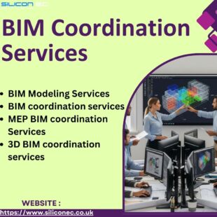 BIM Coordination Services 7 aug 2025