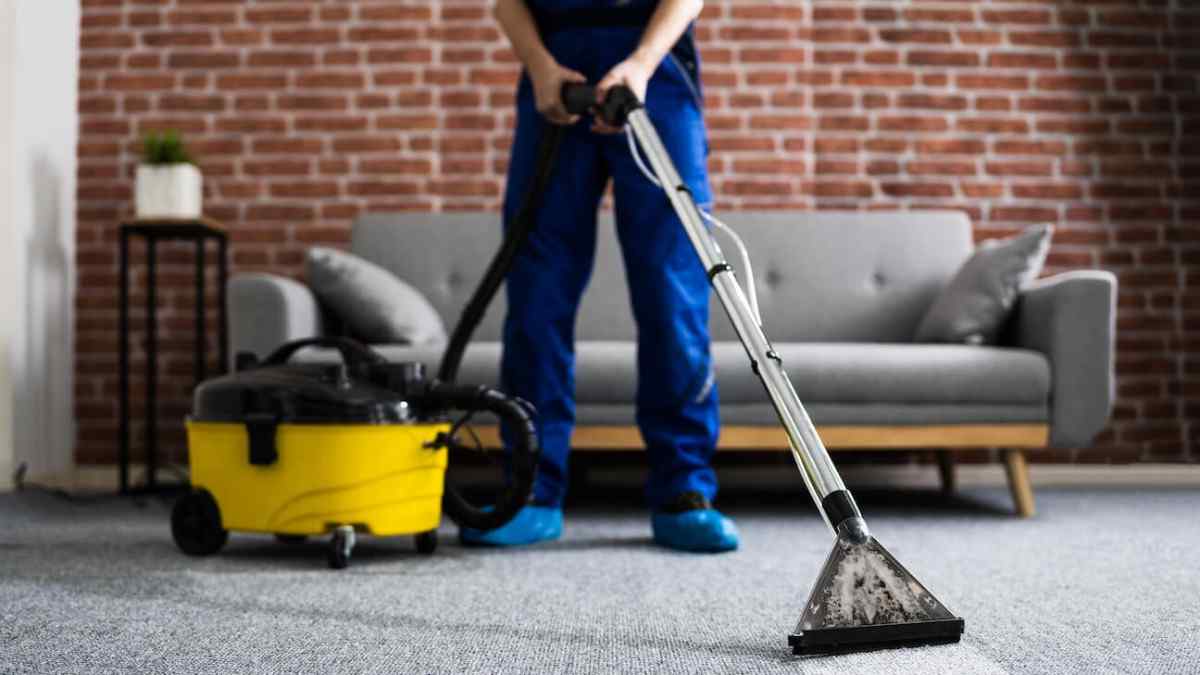 What Works Best for Pet Odor Removal in Baltimore