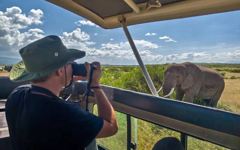 Big Five in South Africa