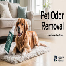 How Does Pet Odor Removal in Brooklyn Work for Carpets?