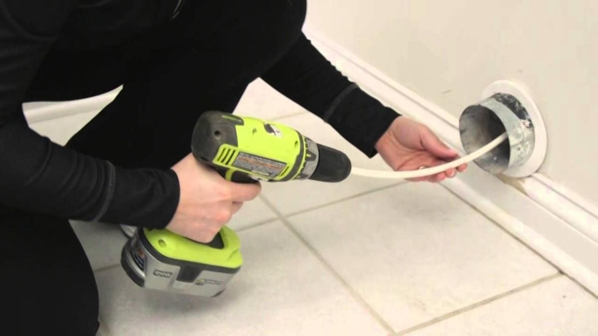 Why Hire Licensed Experts for Bird Removal in Brooklyn