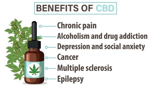 Is CBD Safe for Long-Term Pain Management?