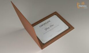 Certificate Holder