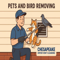 Affordable Pet & Bird Removing Services in Chesapeake