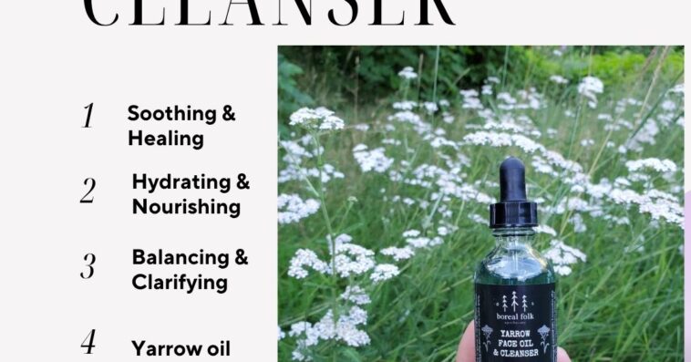 Face Oil Cleanser