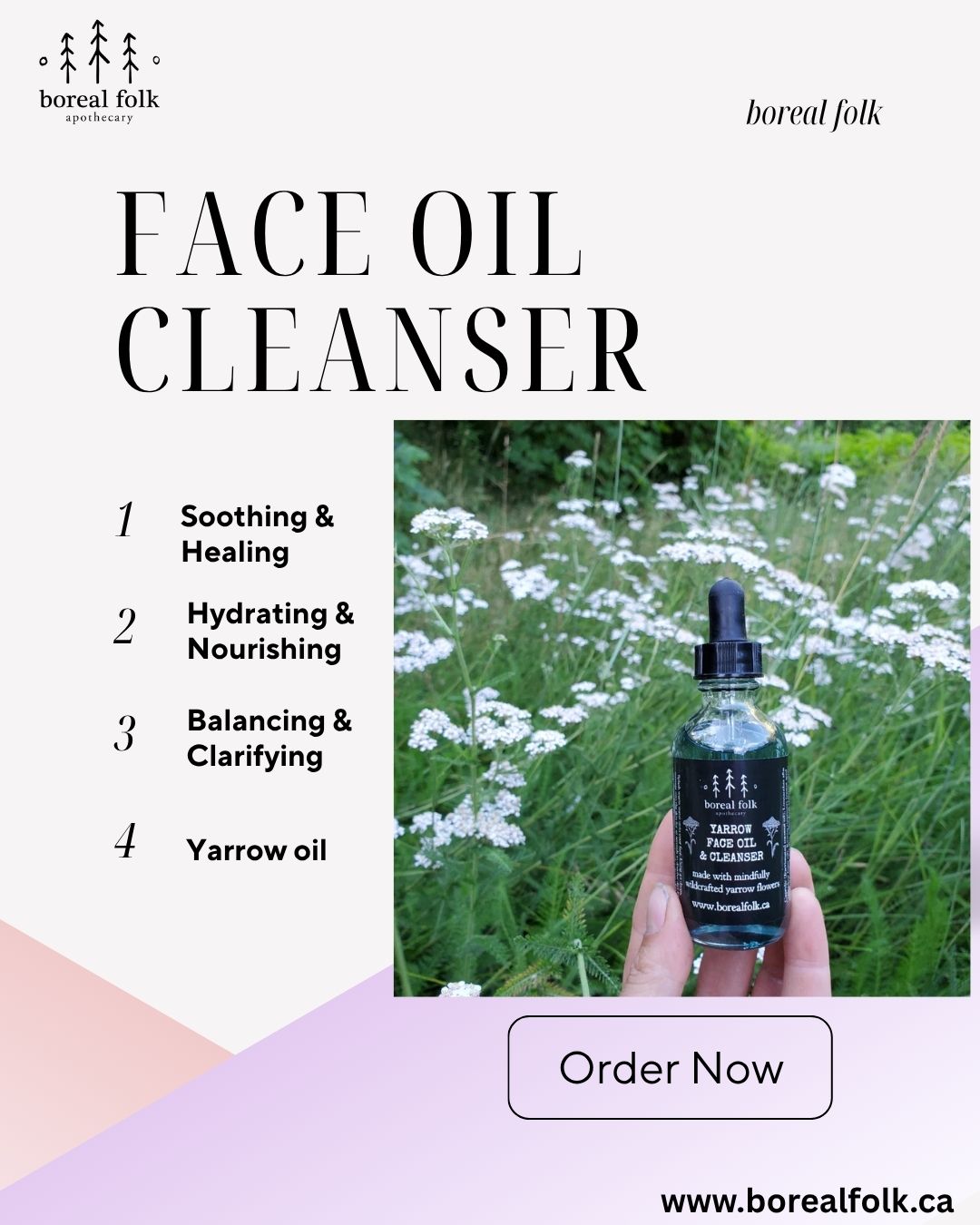 Face Oil Cleanser