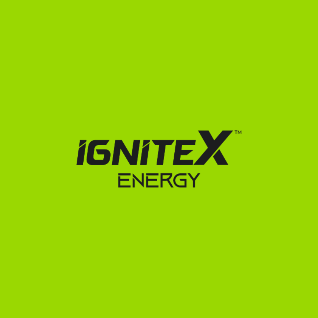 IgniteX Energy Sachets India – Natural Boost for Daily Energy 1 Ignitex Logo