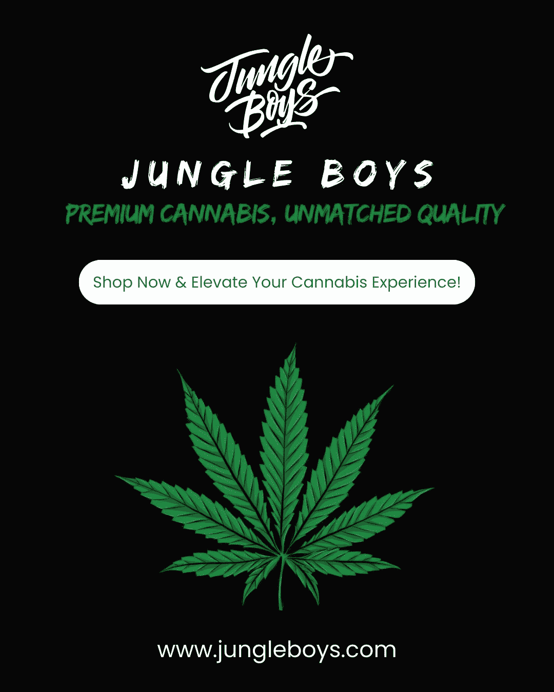Jungle Boys Launches Premium Vape Products in the USA