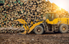 Land Clearing: Efficient Property Preparation