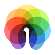 Peafowl IT Solutions