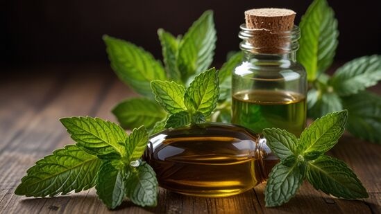 Peppermint Oil Prices