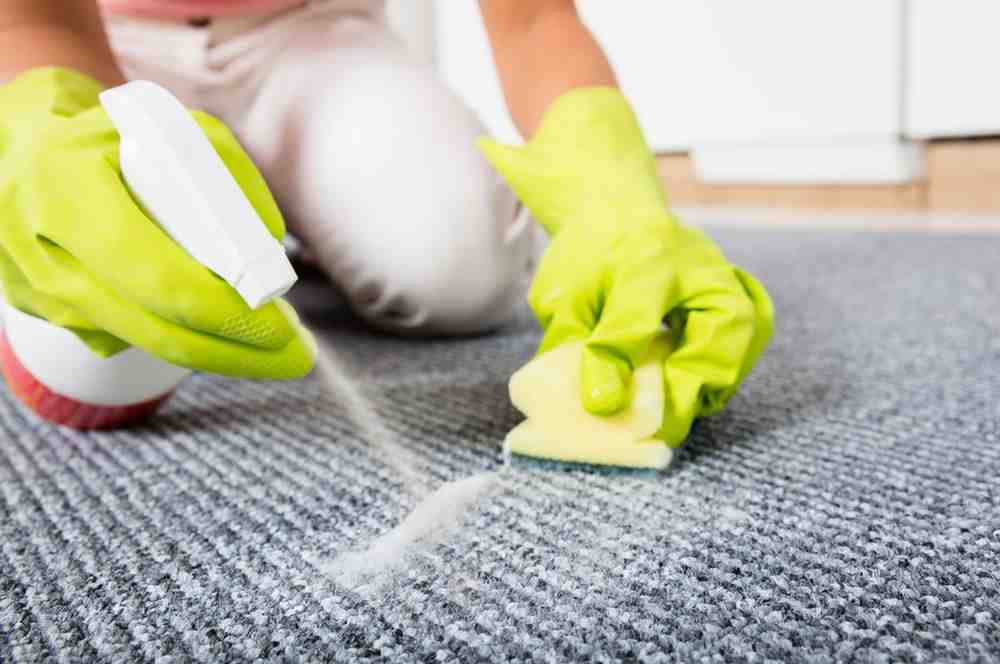 What is Best Pet Odor Removal method in Pomona Homes