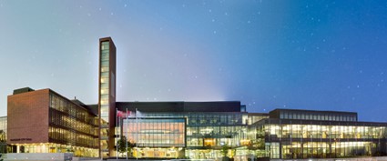 Discover Co-Managed IT Solutions for Vaughan Businesses