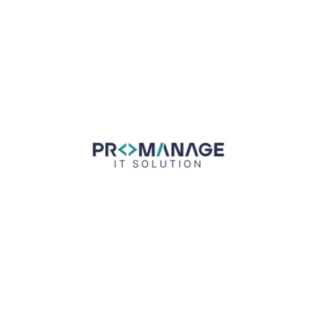 ProManage IT Solution Logo
