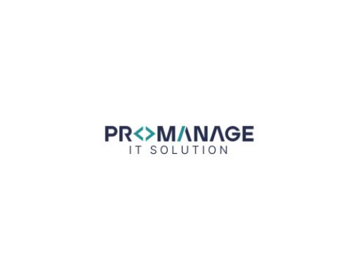 ProManage IT Solution Logo