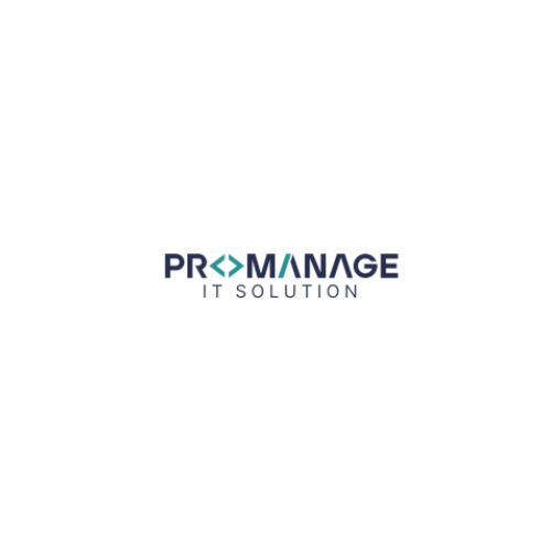 ProManage IT Solution Logo