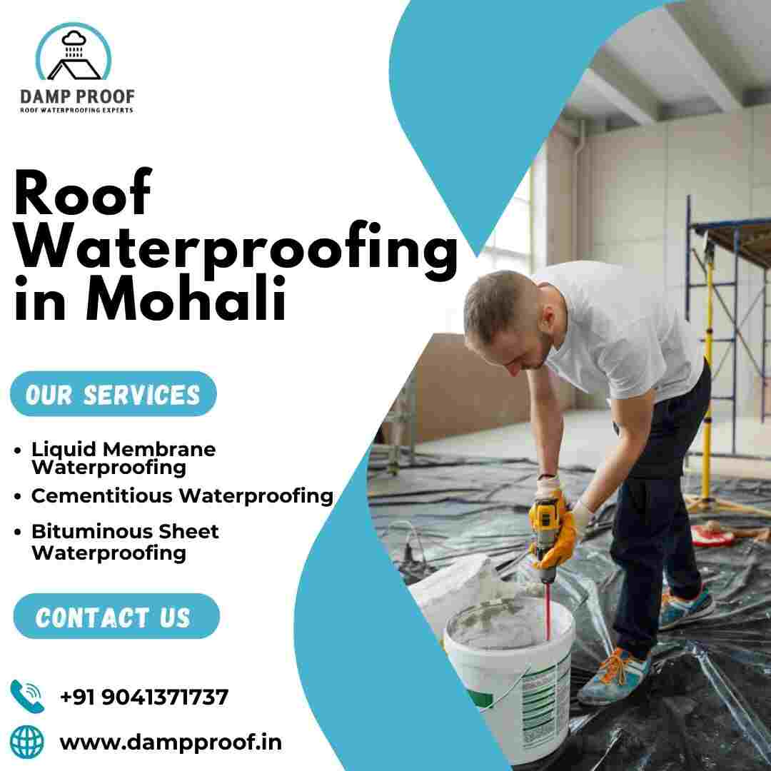 Protect Your Property with Roof waterproofing in mohali