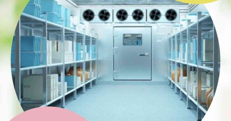 Singaporecoldchainserviceprovider