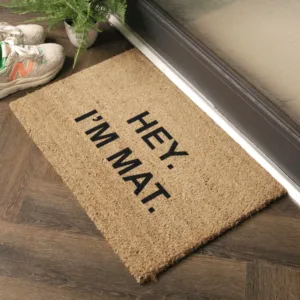 Add a Little Humor to Your Home with Funny Doormats!