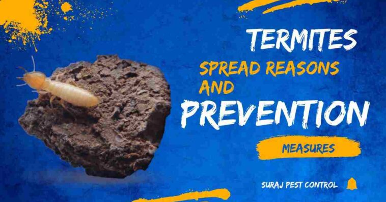 Termites and its Prevention