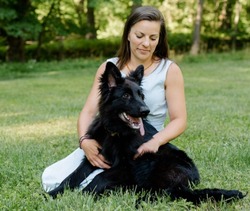 West German Showline German Shepherd Breeders 1